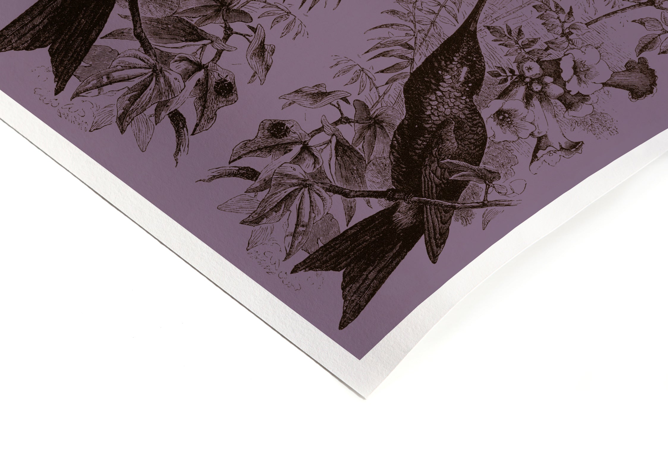 NATURE - Signature Poster