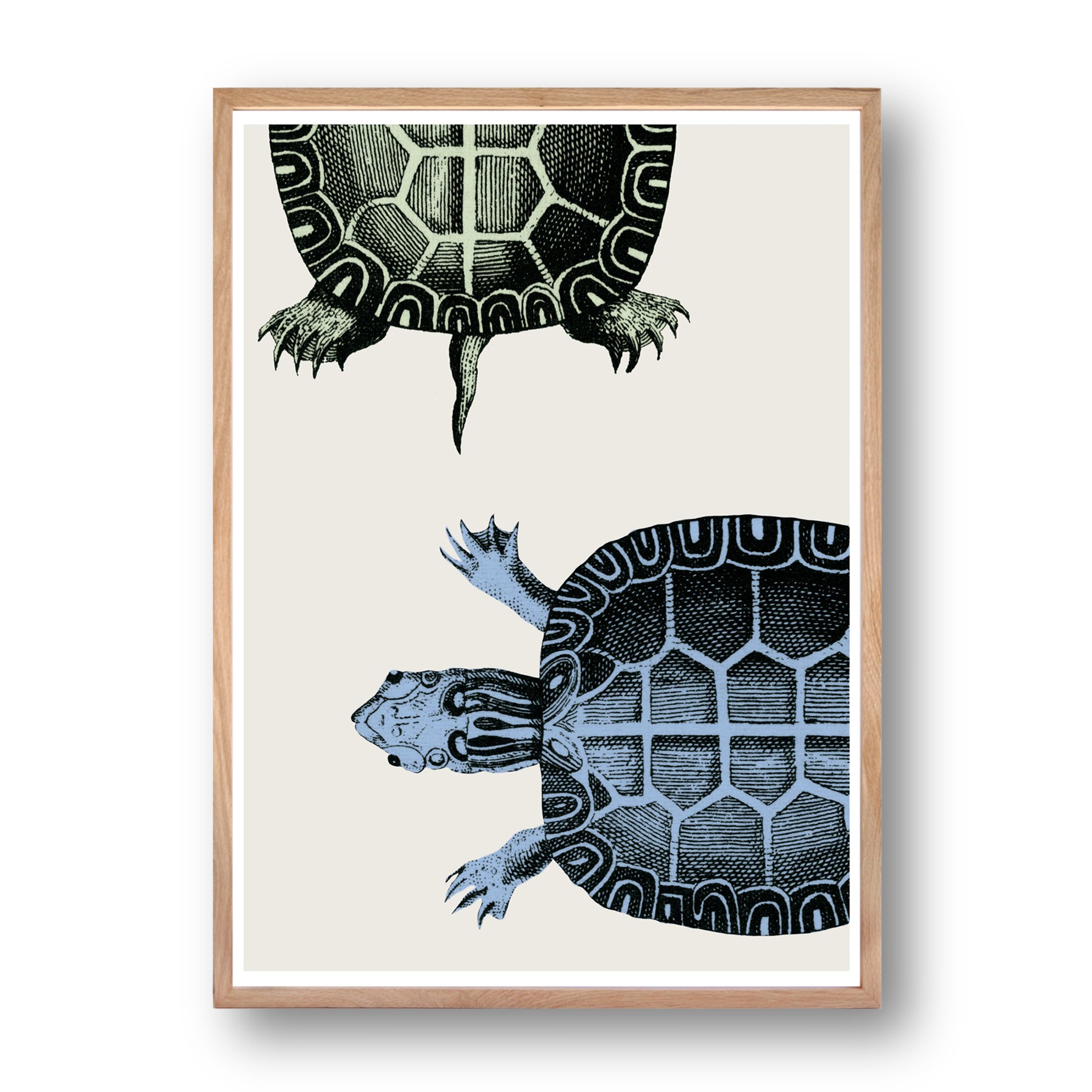NATURE - Signature Poster