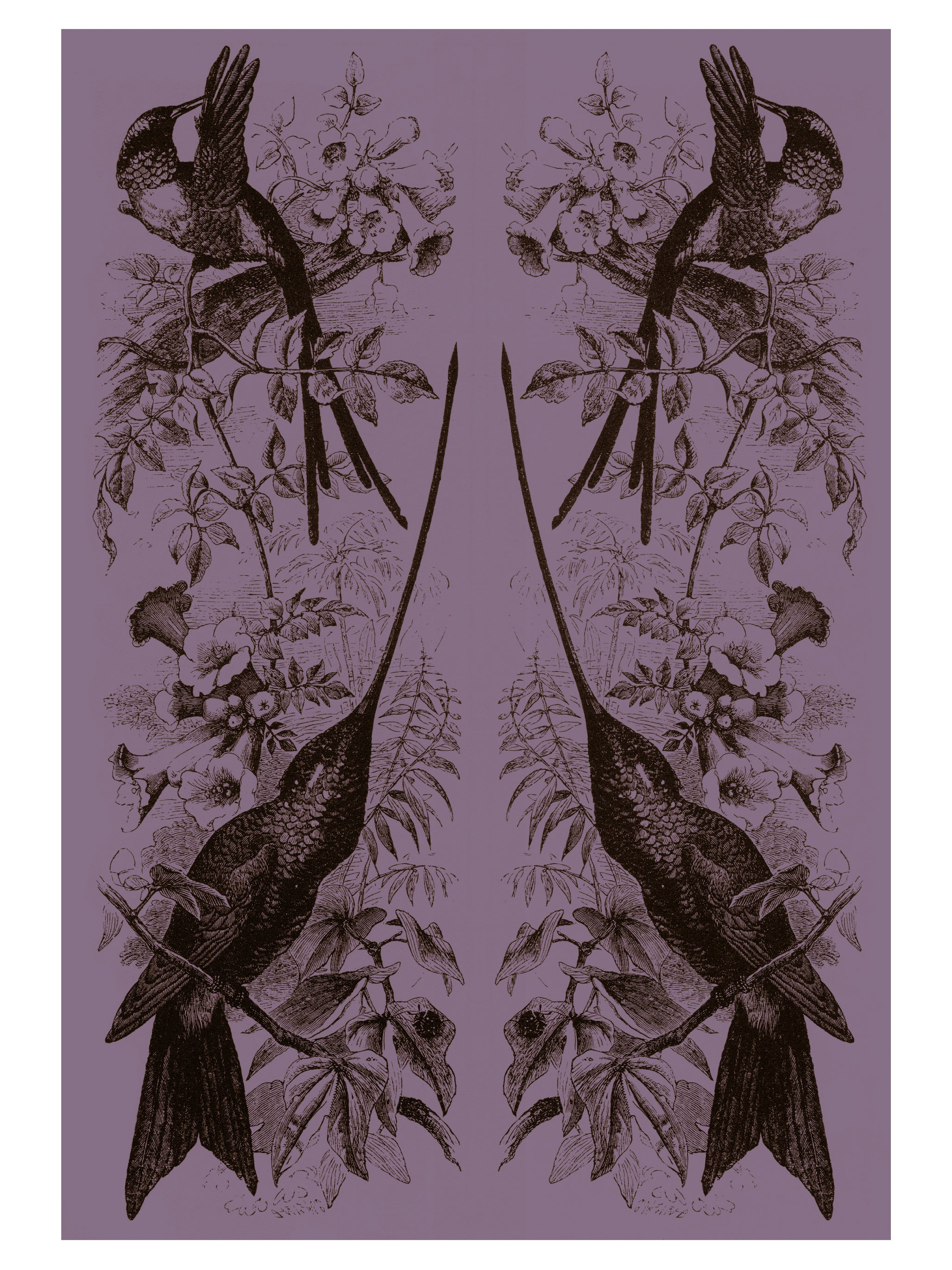 NATURE - Signature Poster