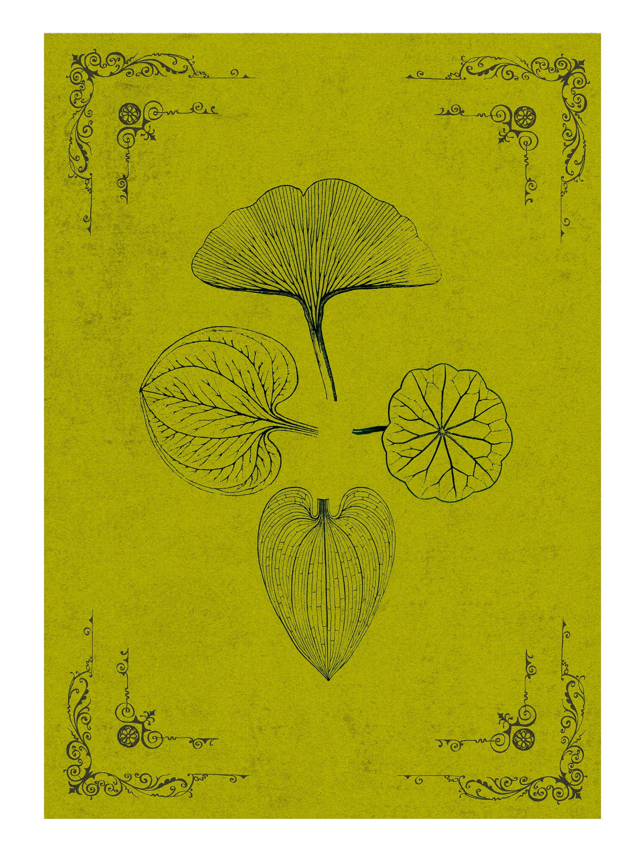 VINTAGE - Signature Poster