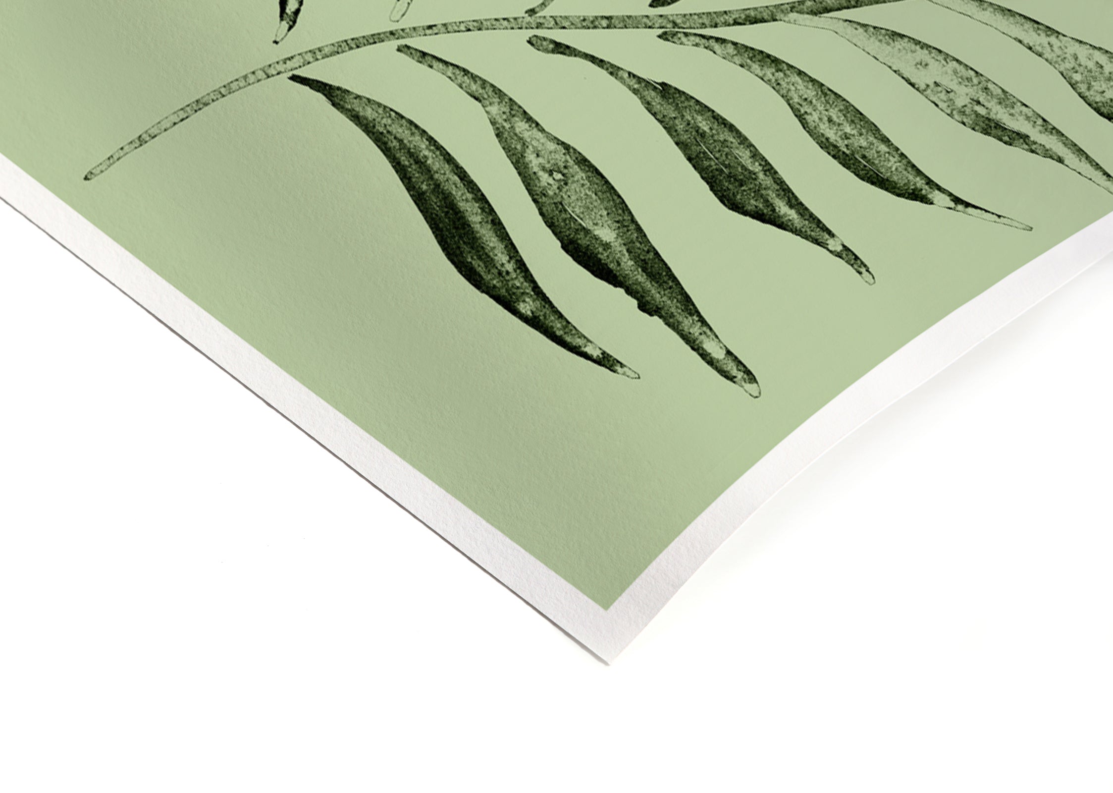 NATURE - Signature Poster