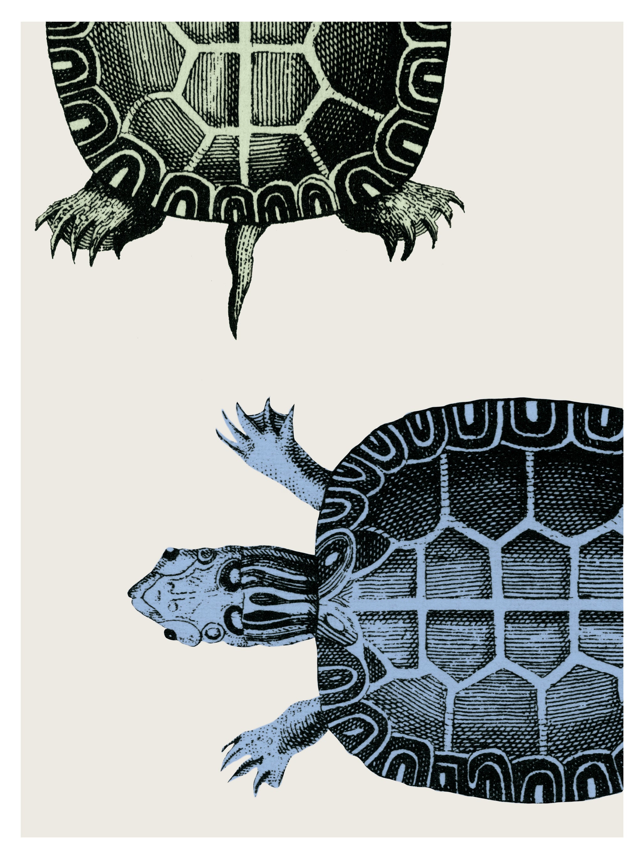 NATURE - Signature Poster