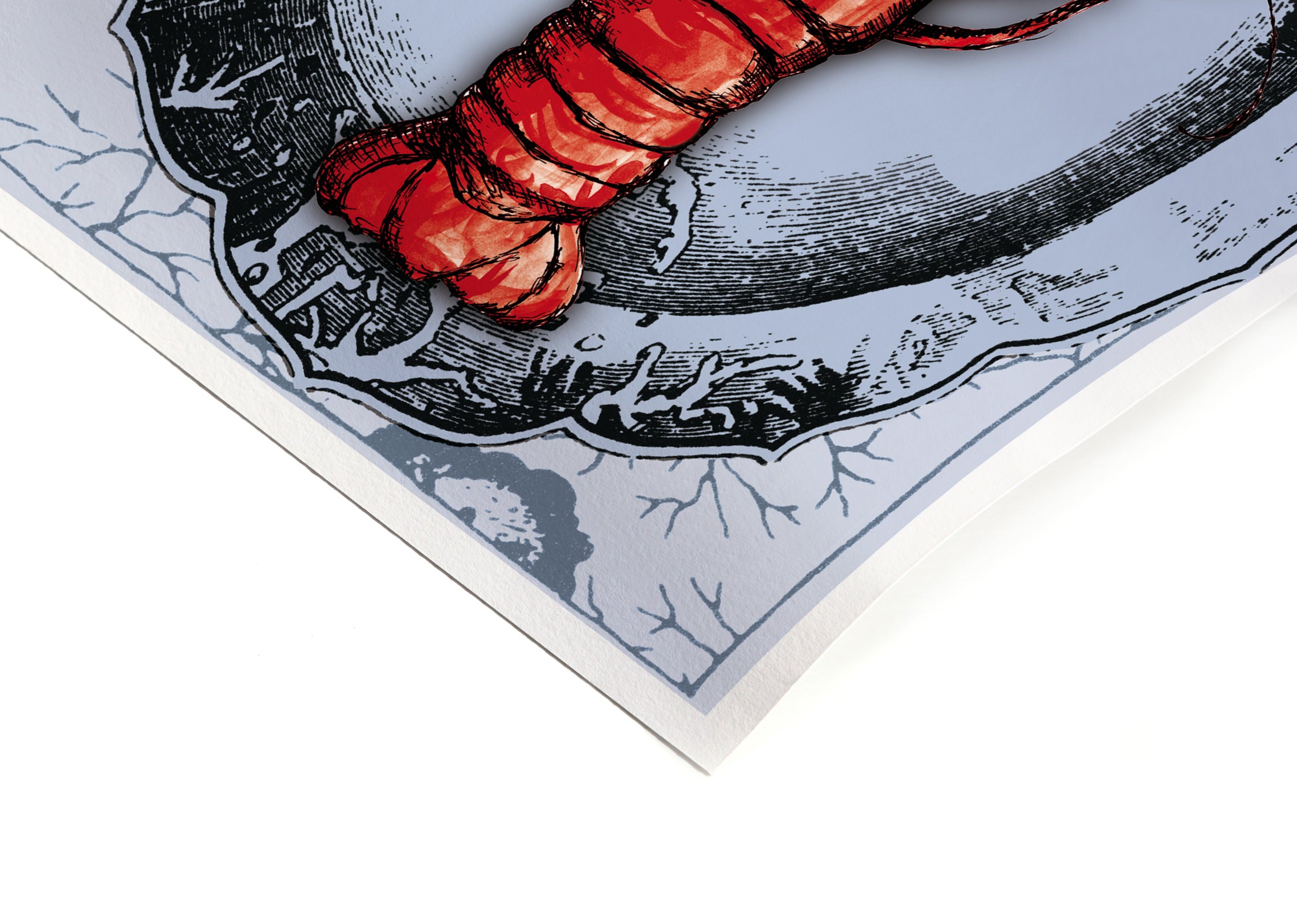 CURIOSITY - Signature Poster