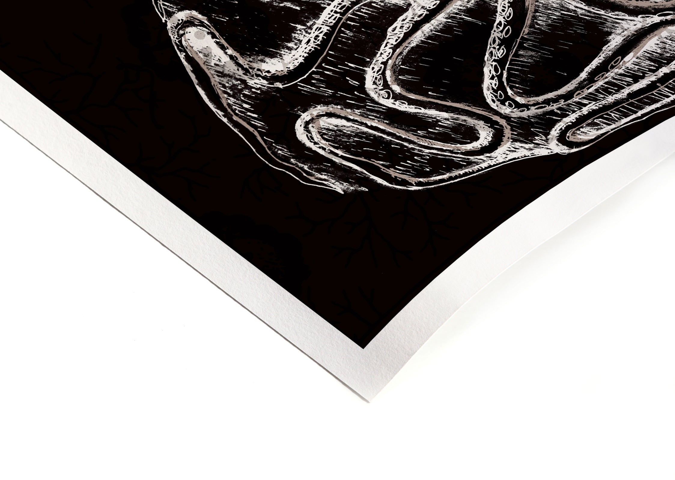 CURIOSITY - Signature Poster