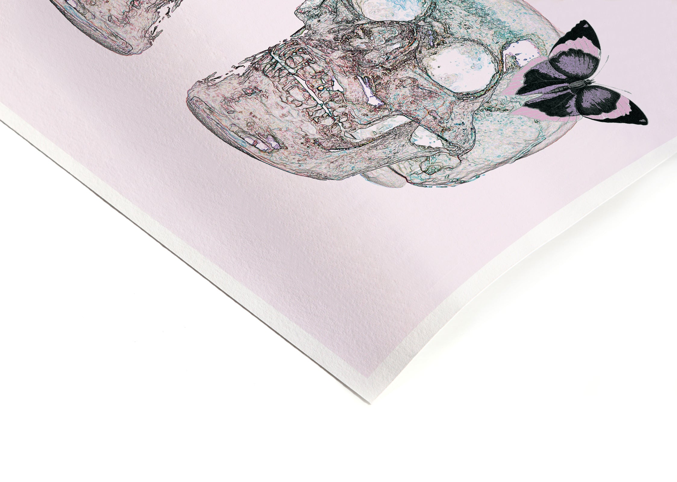 CURIOSITY - Signature Poster