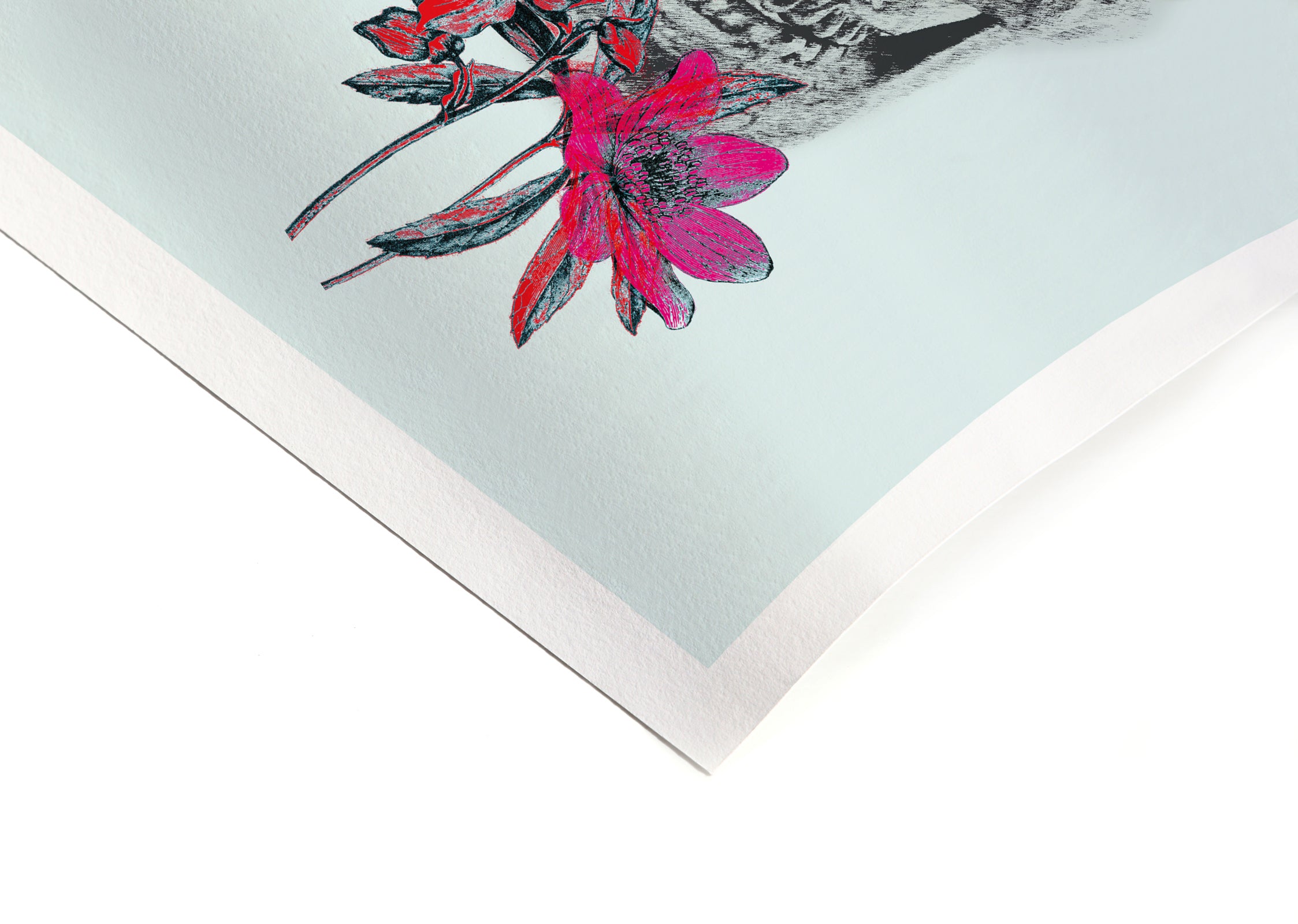 CURIOSITY - Signature Poster